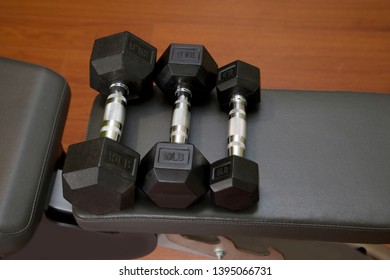 Row Of Light, Small Weight Dumbells On A Weight Bench 