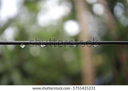 A row of many rain droplets on a black cabel line in rainy day with blur green nature background and bokeh light.Blurred background with bokeh through the tree