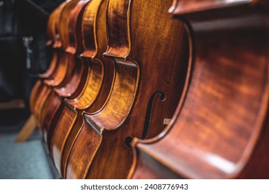 Row of multiple cellos standing on the floor at a musician workshop