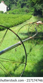 Row Of Old Equipment On New England Farm