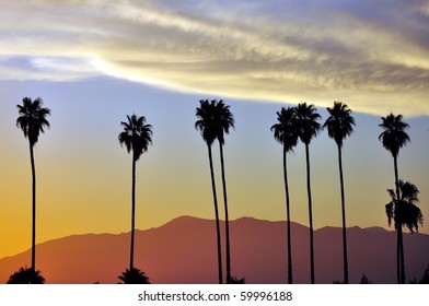 14,014 Palm trees in a row Images, Stock Photos & Vectors | Shutterstock