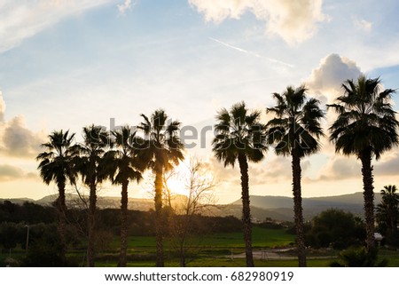 Row of palm trees against setting sun and mountains