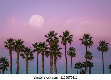Row of palm trees by the ocean with full moon at sunset. 