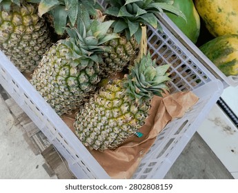 a row of pineapples in a white plastic box at a market