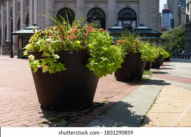 2,084 Large planters Images, Stock Photos & Vectors | Shutterstock