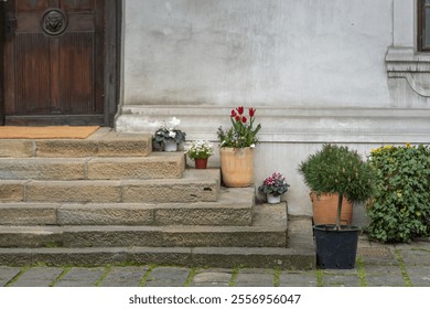 Row of potted plants sit on a stone staircase in front of a building. The plants are of various sizes and colors, including red tulips and white flowers. Concept of warmth and natural beauty - Powered by Shutterstock