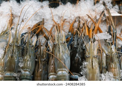 Row of prawn on ice of shelve display for sale