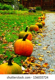 Row of pumpkins