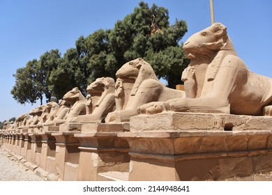 Row of ram-headed sphinxes at Karnak Temple, Luxor, Egypt.