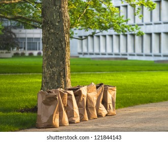 Row Of Recycling Yard Waste Paper Bags