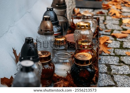 Similar – Image, Stock Photo Cobblestone with moss, autumnal