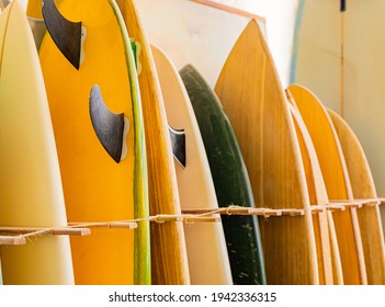 Row of retro vintage surfboards lined up in a local surf shop - Powered by Shutterstock