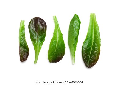 Row Of Romaine Lettuce Leaves Isolated On White.