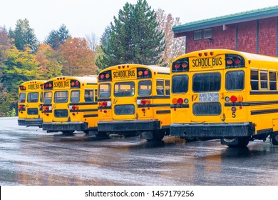 Row Of School Buses Aligned And Parked.