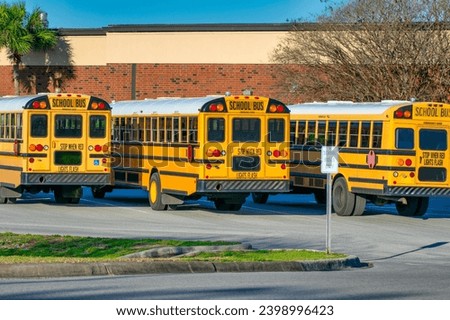 Row of School Buses in Florida.