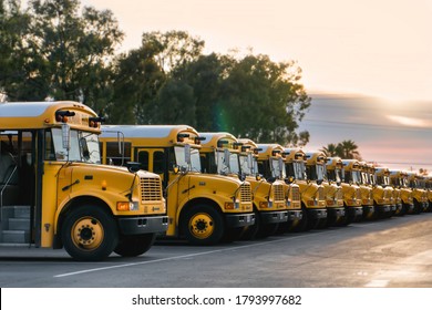 Row Of School Buses In Parking Lot