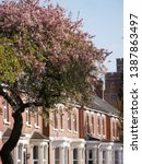 Row of semi-detached historic antique Edwardian houses on street in Gloucester UK with spring flowering cherry in foreground