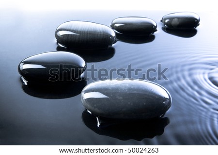 A row of shiny black pebbles in water