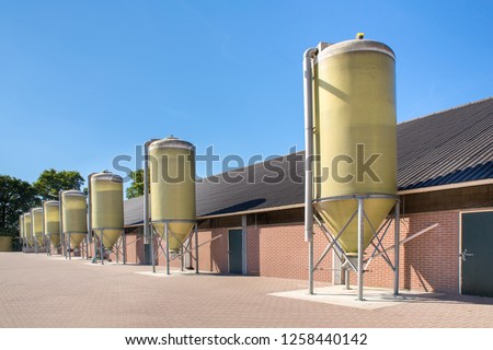 Row of silos with feed at livestock on farmyard