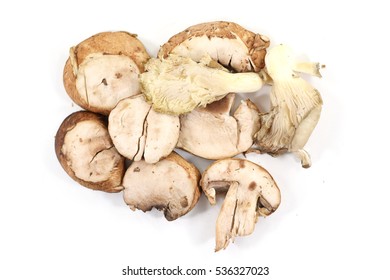 Row Of Sliced Organic Crimini Or Baby Bella Mushrooms - Isolated