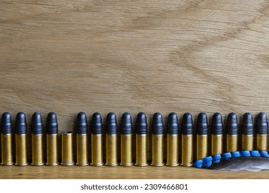A row of small caliber bullets and one empty cartridge on a wooden background.