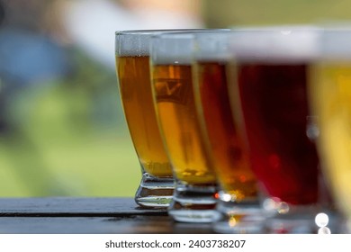 A row of small curved tulip shaped sample glasses of pale ale beer with froth on the top. The liquid alcohol has a vibrant yellow tint. The glasses are on a wooden table with circles.