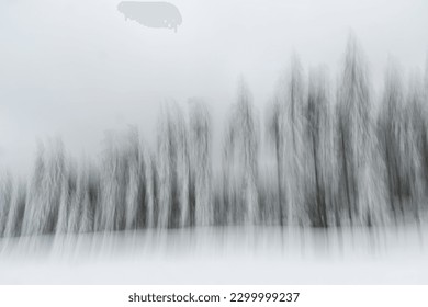 A row of snowy conifers in a winter landscape in motion blur and black and white
