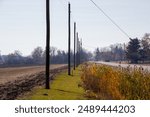 A row of telephone poles along a country road with cattails growing in the ditch with a tractor in the distance on fall day