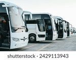 Row Of Tourist Buses at Parking Lot 