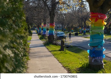 Row Of Trees Wrapped In Rainbow Colored Ribbons In Appreciation And Support Of Front Line, Essential Workers, Healthcare Providers And First Responders During Corona Virus  Outbreak. Selective Focus.