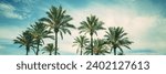 
Row of tropic palm trees against blue sky. Tropical landscape. Beautiful tropic nature. Horizontal banner