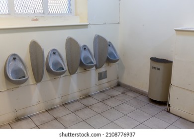Row of urinals in a dirty rundown public toilet with litter bin in the background