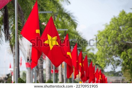 Row of Vietnamese flags fluttering in the park on sunny day . Selective focus.