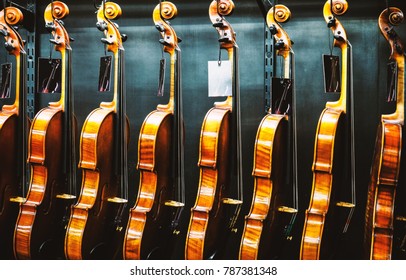 Row of violins in a store