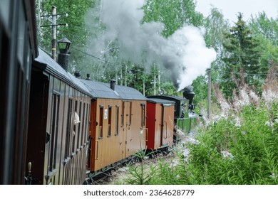 A row of wagons of a train moving in a green forest - Shutterstock ID 2364628779