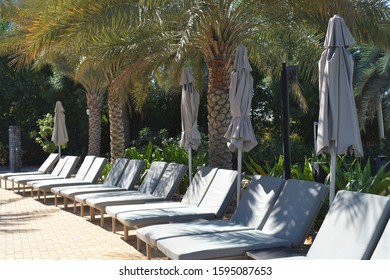 A row of white empty sunbeds with closed sun umbrellas and palm trees at a luxury holiday resort