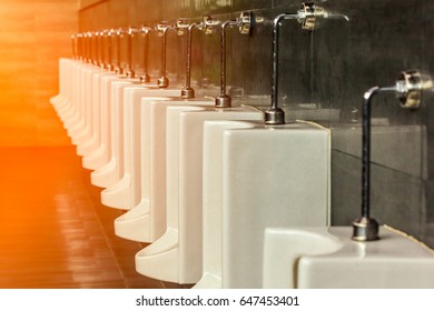A row of white porcelain urinals.Selective focus point in public toilets with morning light.