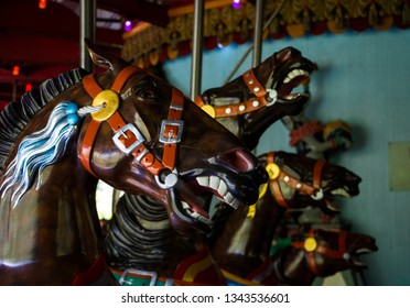 Row Of Wooden Horses On The Central Park Carousel