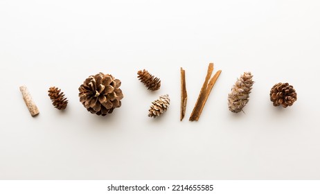 A row of woody pinecones and sticks, against a white background.