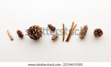 A row of woody pinecones and sticks, against a white background.
