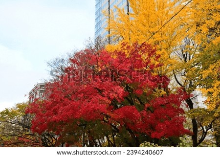 Similar – Image, Stock Photo Autumn is here Environment