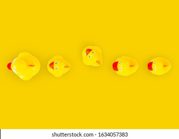 A Row Of Yellow Rubber Ducks With One Of The Ducks Facing In A Different Direction All The Other Duck Are Facing. 