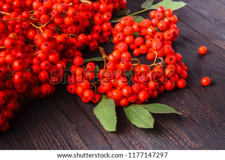 Rowan berries on vintage wooden boards