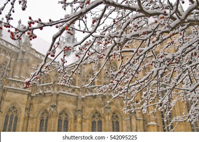 230 Kosice Winter Images, Stock Photos & Vectors | Shutterstock