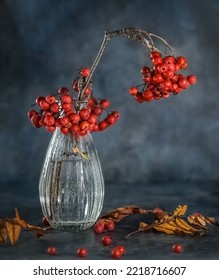 Rowan Branch In A Vase On The Table. Autumn Still Life. Photo