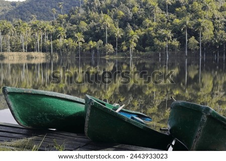Rowboats half sunken and half laying up on the dock of El Palmar lake, Las Delicias mount background, Las Terrazas rural tourist eco-community, Sierra del Rosario Biosphere Reserve. Candelaria-Cuba.