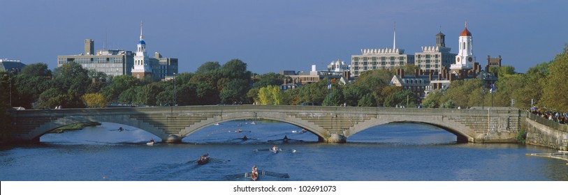 Rowers on Charles River, Harvard and Cambridge in Background, Massachusetts
