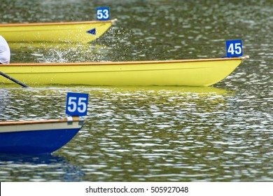 Rowing Boats