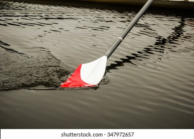 Rowing Oar