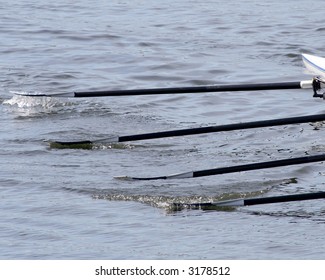 Rowing Oars